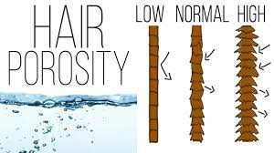 Hair Care Treatment: Uncovering the Different Types of Hair Porosity Levels